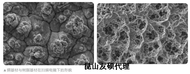 北海蔡司北海扫描电镜