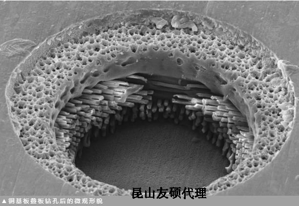 北海蔡司北海扫描电镜